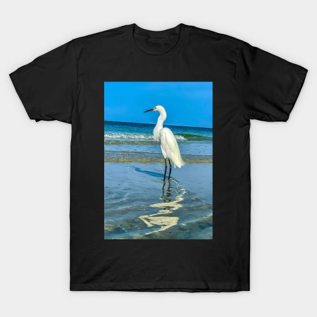 White Egret T-Shirt by cbernstein